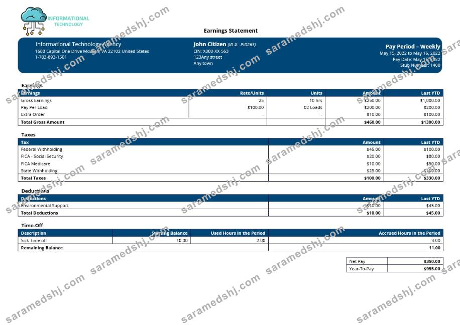 information technology company paystub template in Word and PDF formats